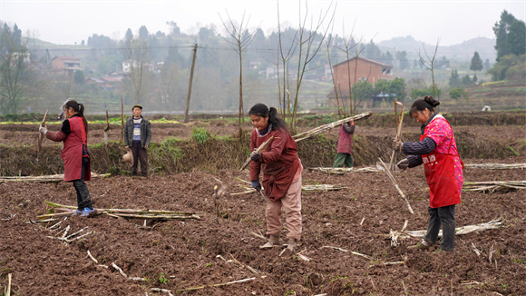 1679446016439045885.jpg 2.jpg