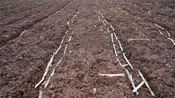 1679446055074057133.jpg 3.jpg