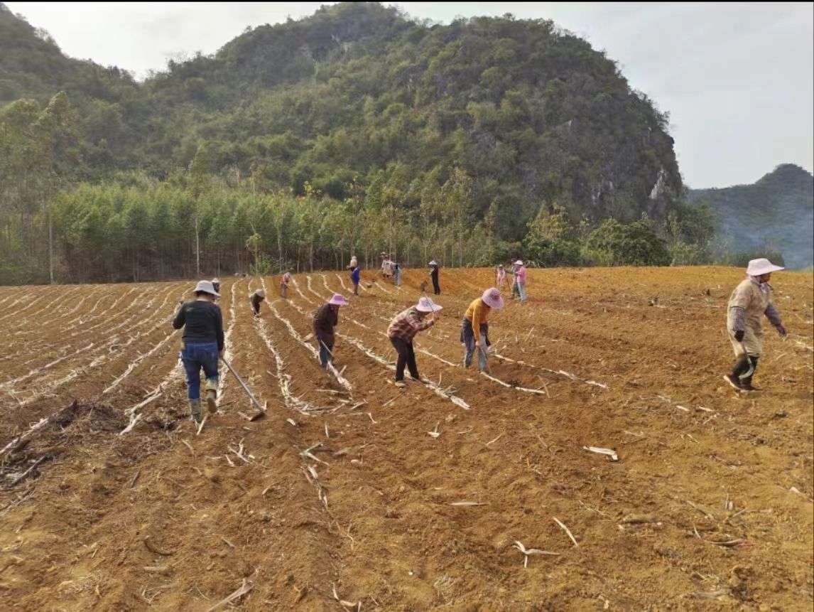 1679447083172079244.jpeg 5.jpeg