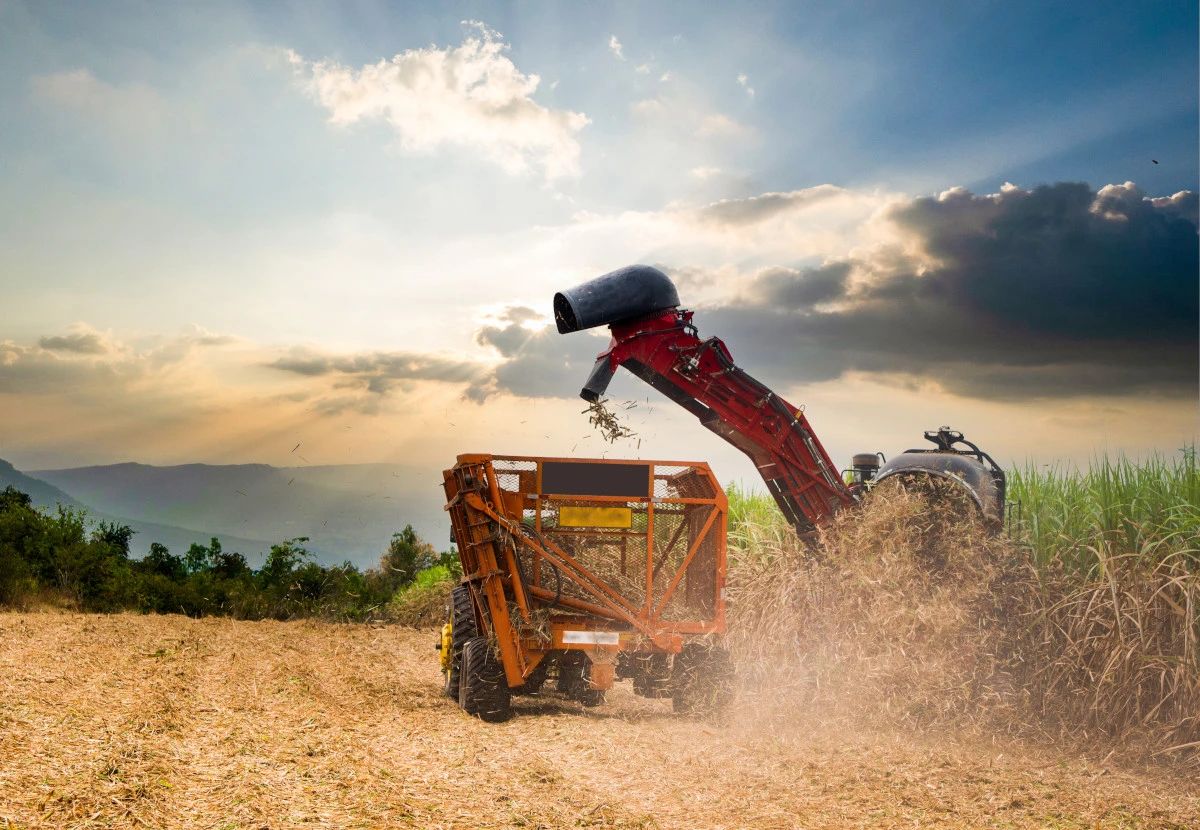 1679637588088057739.jpg e04b80005db5d11d424c7b9754eff605.jpg