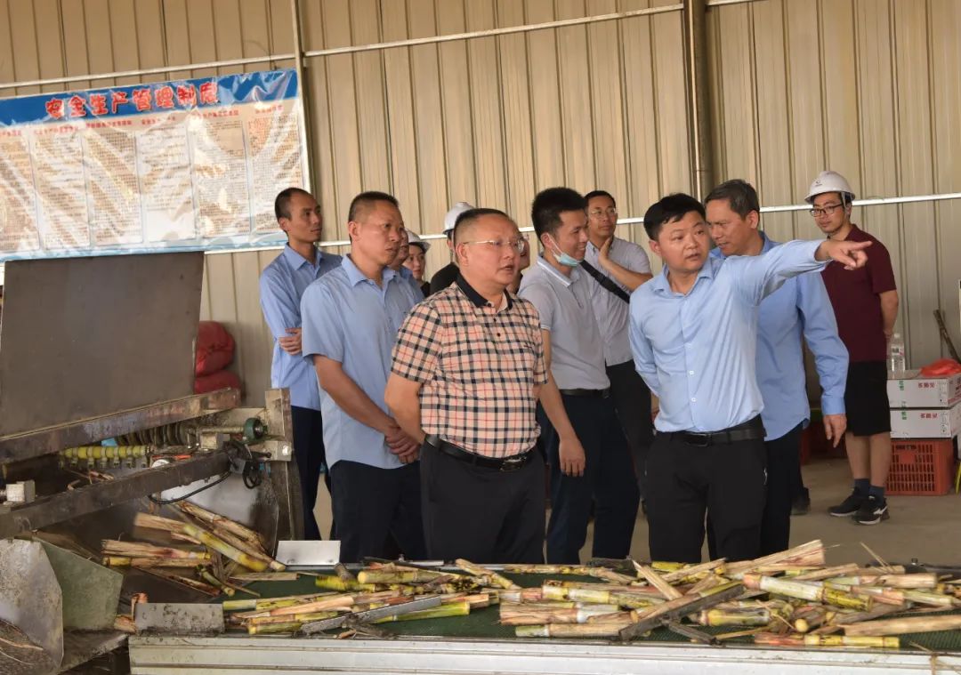 1679878470608029550.jpg 2.jpg