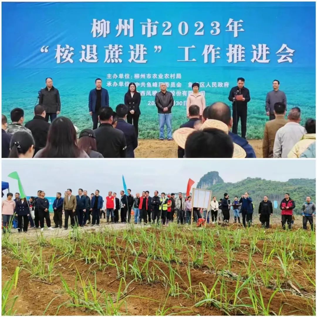 1680224374806062093.jpg 1.jpg