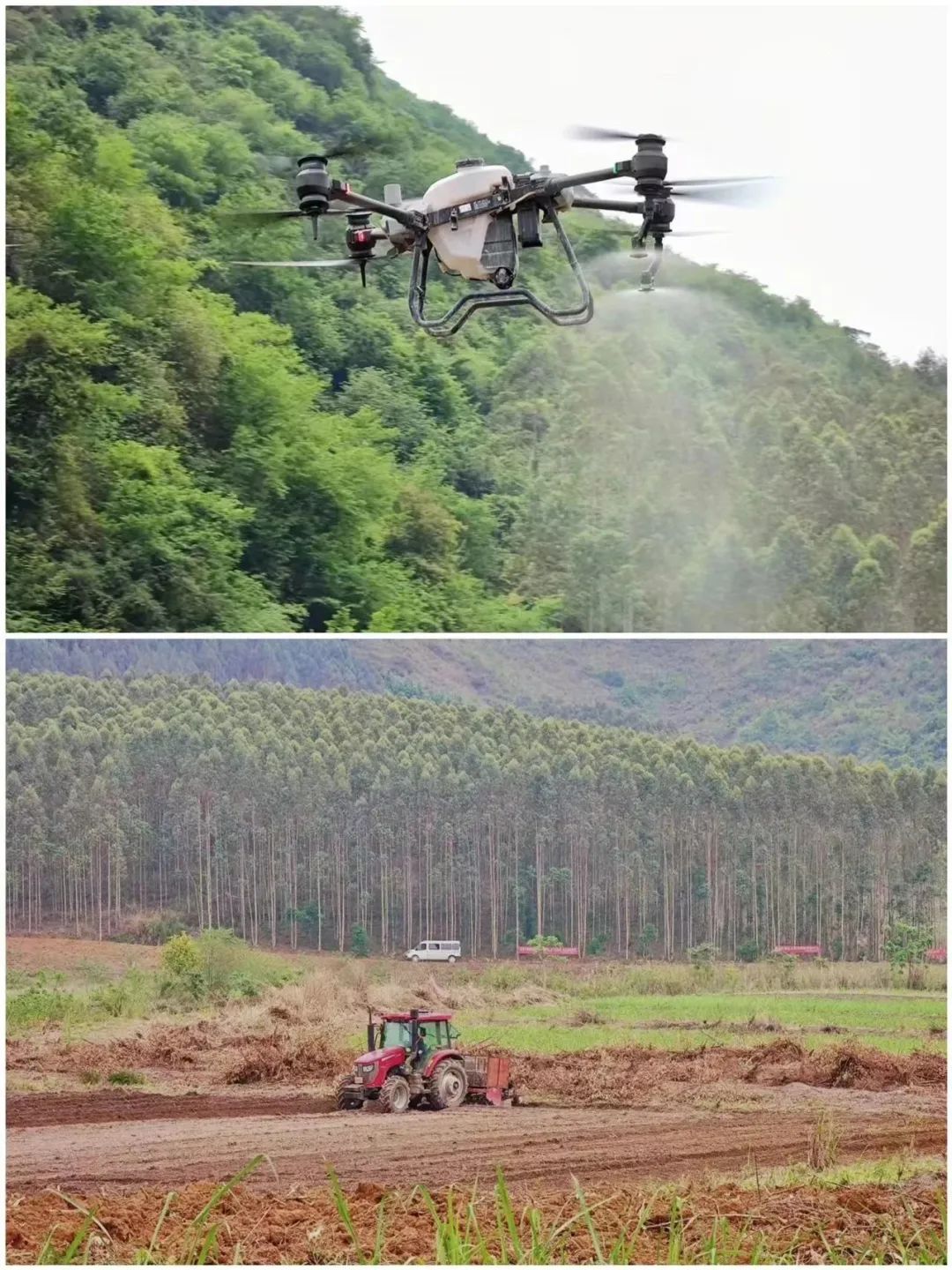 1680224423615033984.jpg 3.jpg