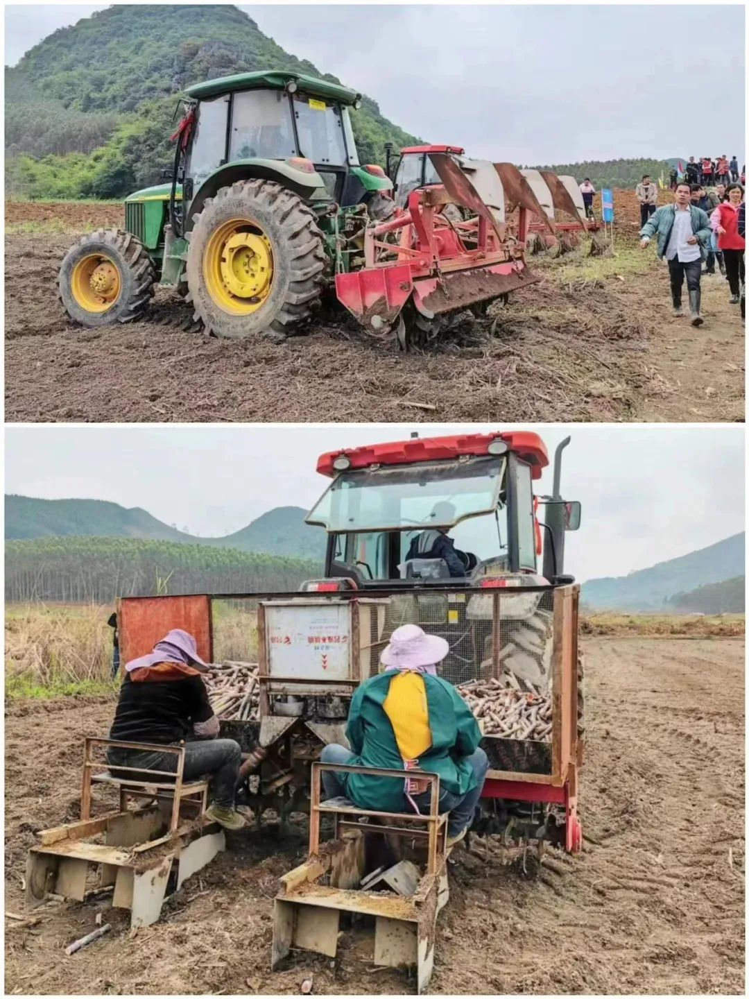 1680224451349040583.jpg 5.jpg