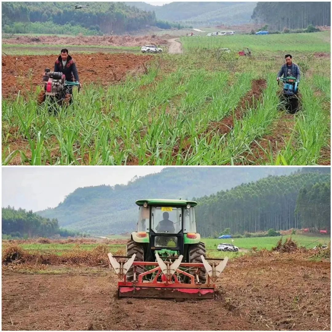 1680224473485041047.jpg 7.jpg