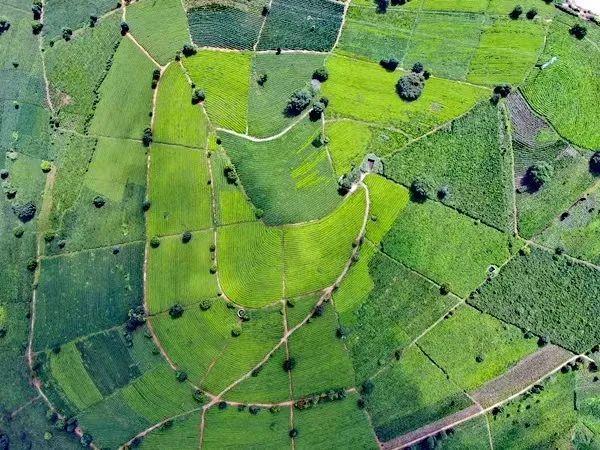 1680852404426018560.jpg 1.jpg