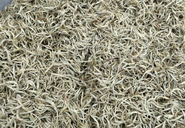 1680852412423078125.jpg 2.jpg