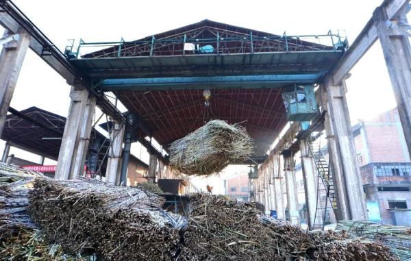 1680852429107036426.jpg 4.jpg