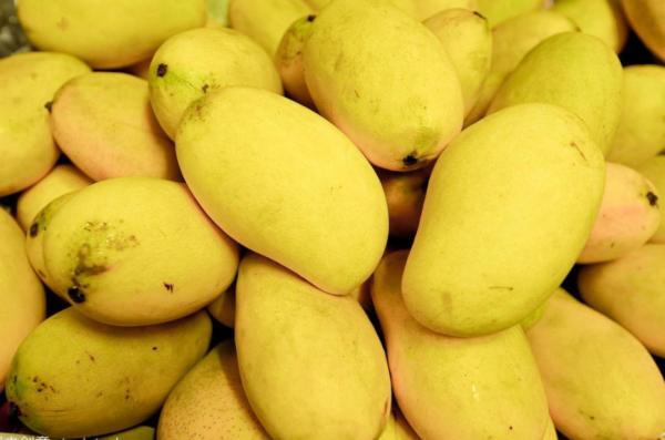 1680852464630069899.jpg 6.jpg