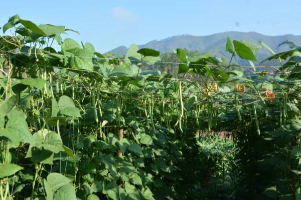 1680852491494014694.jpg 9.jpg