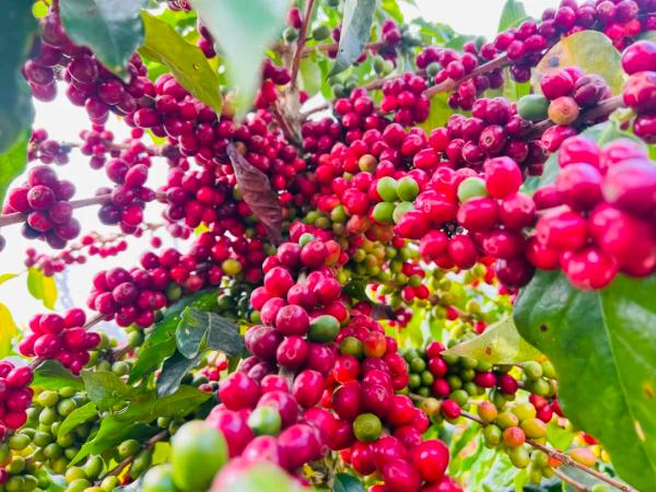 1680852553436043102.jpg 11.jpg