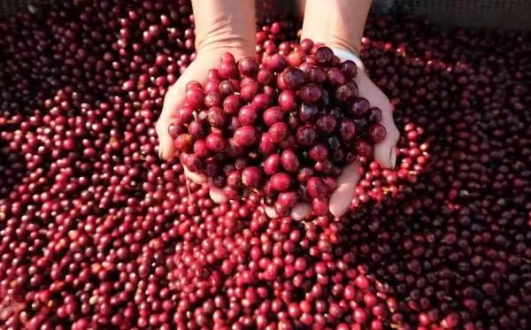 1680852561661053041.jpg 12.jpg