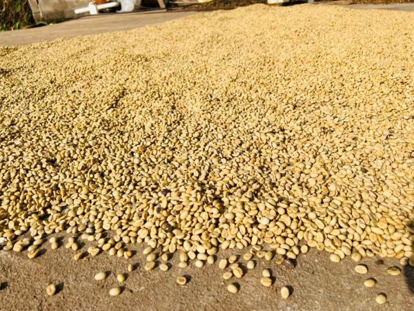 1680852568916064432.jpg 13.jpg