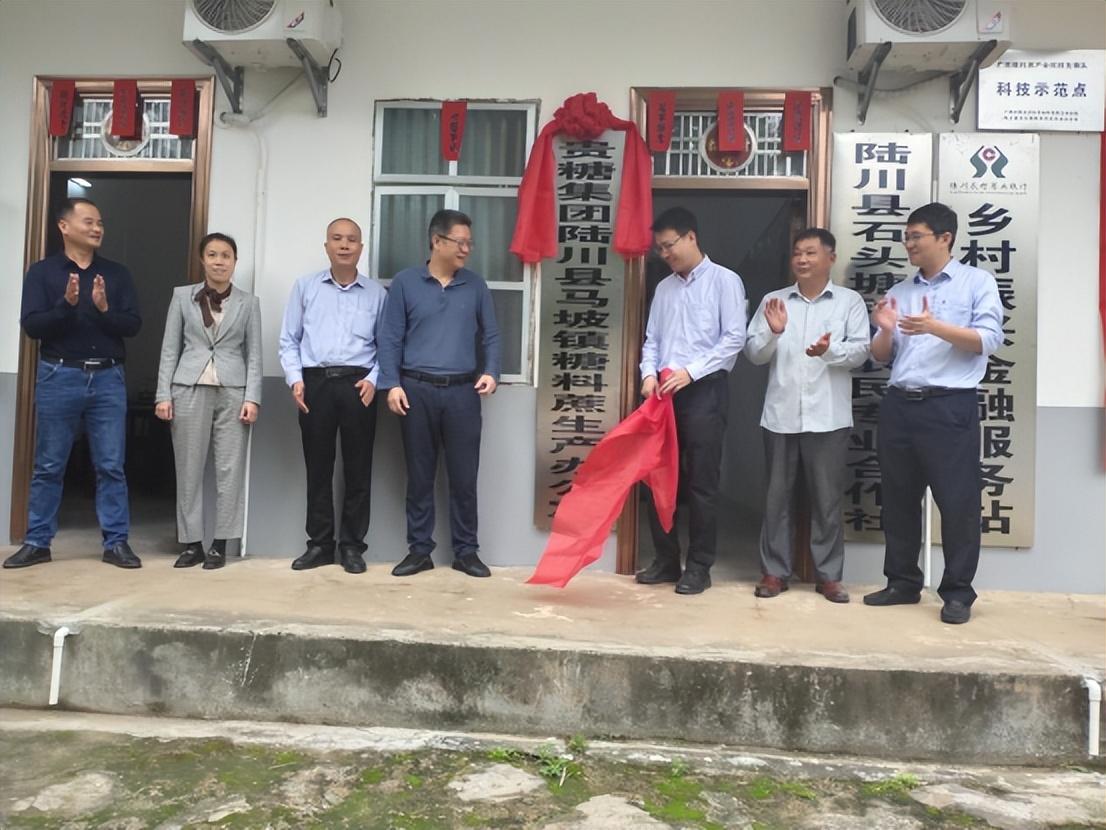 1681451977553063591.jpg 1.jpg