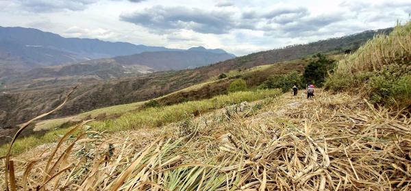 1681778199855010592.jpg 1.jpg