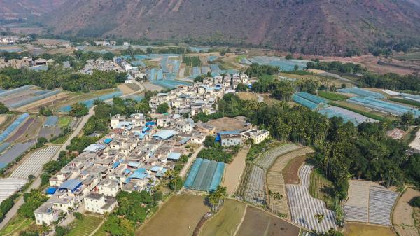 1681778294159034080.jpg 2.jpg