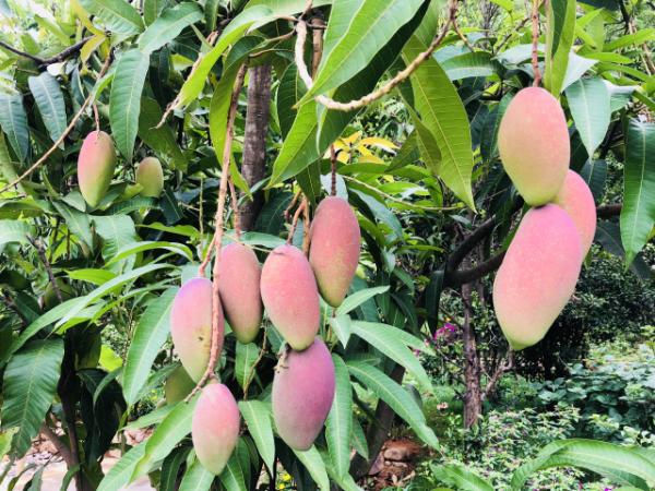 1681778317425001547.png 3.png