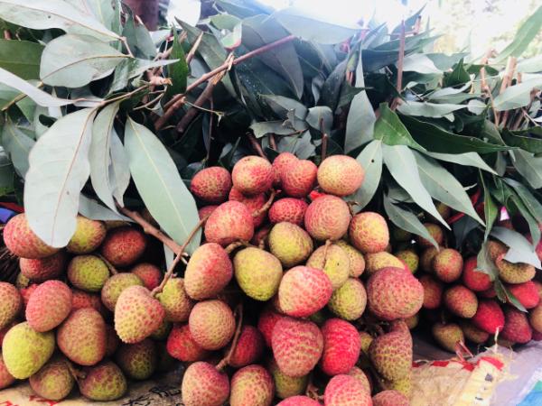 1681778335702002149.png 4.png