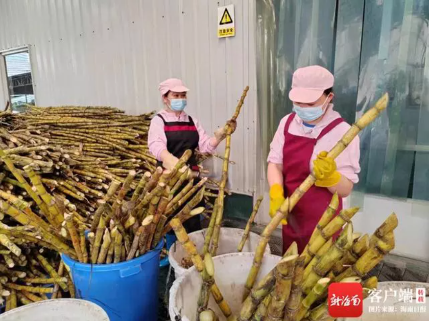 1681779531953062543.png 41f6b2e2f0b048e72c90027312d6976.png