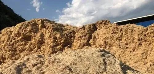 1682322907864035719.jpg 3.jpg