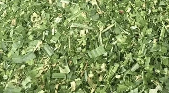 1683532587180081289.jpg 2.jpg