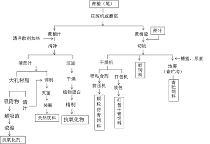 1683532596197080090.png 3.png