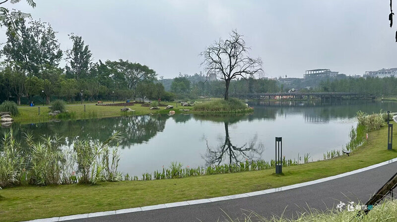 1683680009709033182.jpg 1.jpg