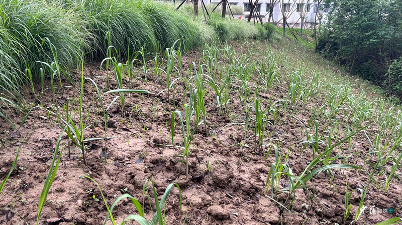 1683680076848072935.jpg 3.jpg