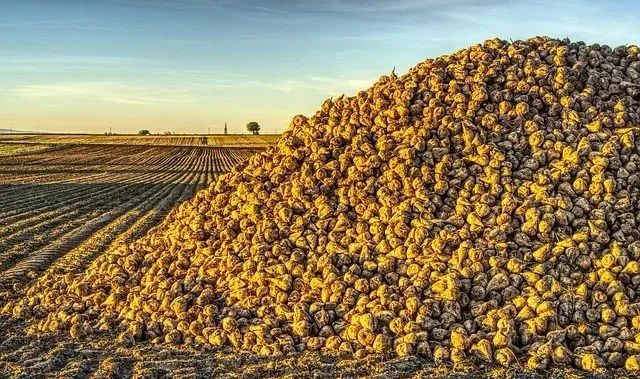 1683765540305023780.jpg 3.jpg