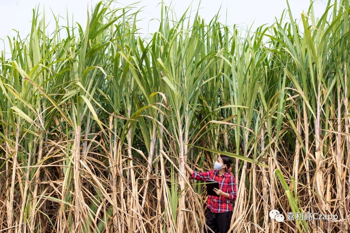 1683870124006007044.jpg 6acdec03c985d6fe393b23bb2031e9e3.jpg