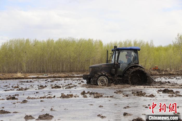 1684308301557017635.jpg 3.jpg