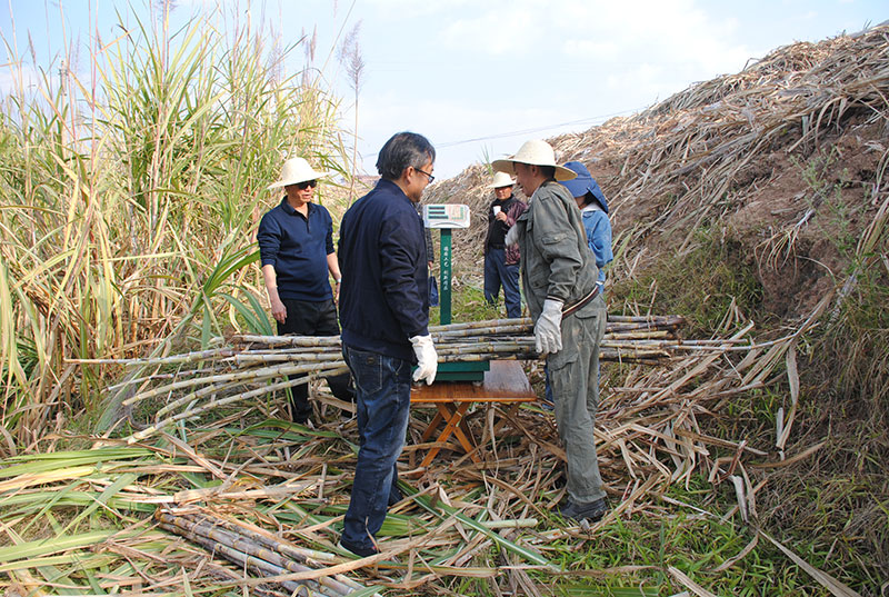 1686531103236078438.jpg 3.jpg