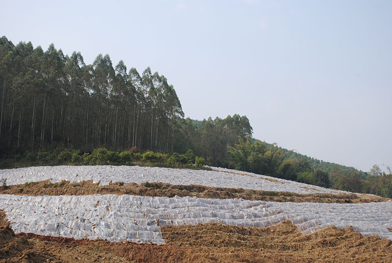 1686531113778007737.jpg 1.jpg