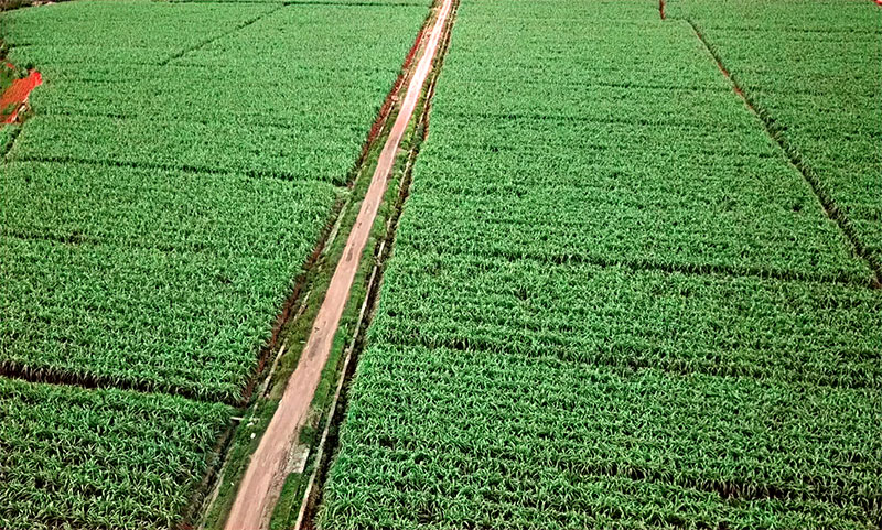 1686531123085090281.jpg 2.jpg