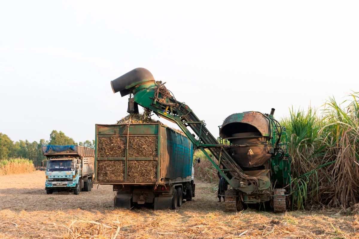 1687167967689027580.jpg c5f6c4cdaf48103c32ae2e620e429e75.jpg