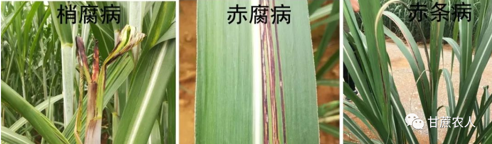 1688952570620019119.png 微信图片_20230710092907.png