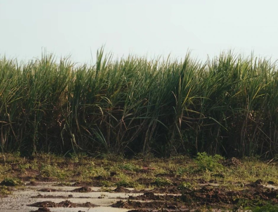 1688977215008022550.jpg 119ea59b8c919816f9df75f435a1f26c.jpg