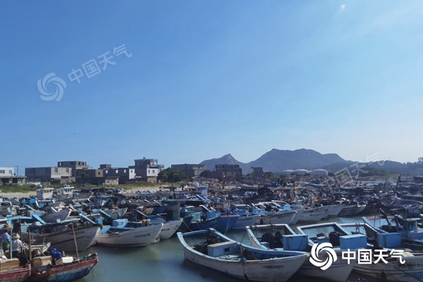 1690425309851085018.jpg 1.jpg