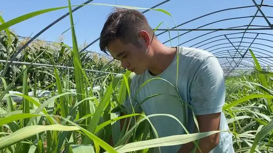 1691116213555015482.jpg 1 (2).jpg