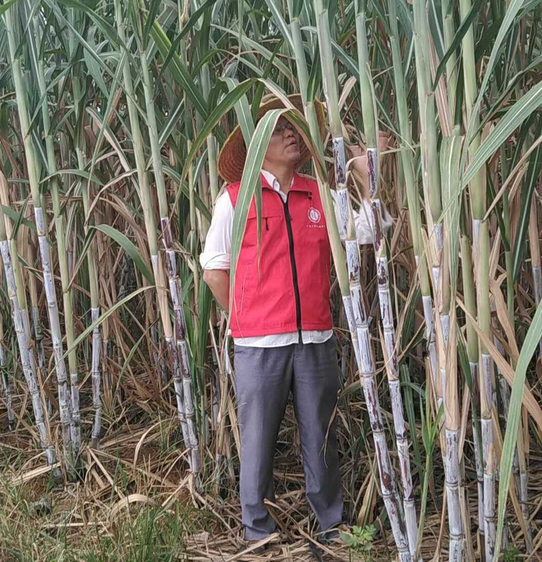 1691139906968072241.png 2.png