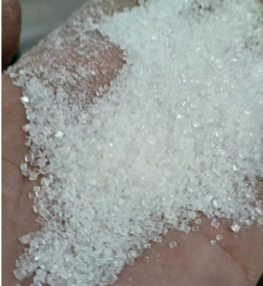 1691369023859061559.png image.png