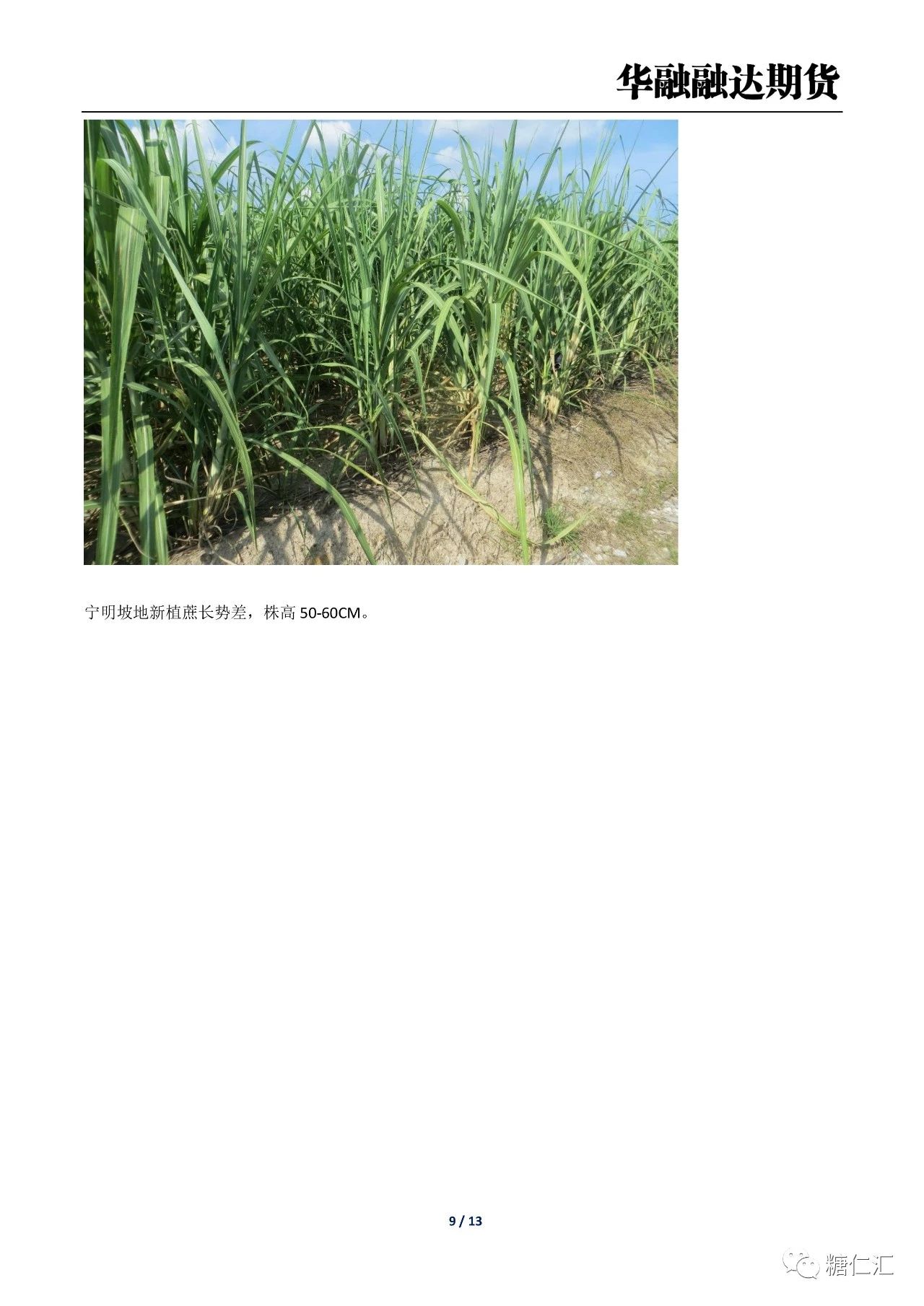 1691371256564016117.jpg 6160a7d121da438def5ae8e36aea42a1.jpg