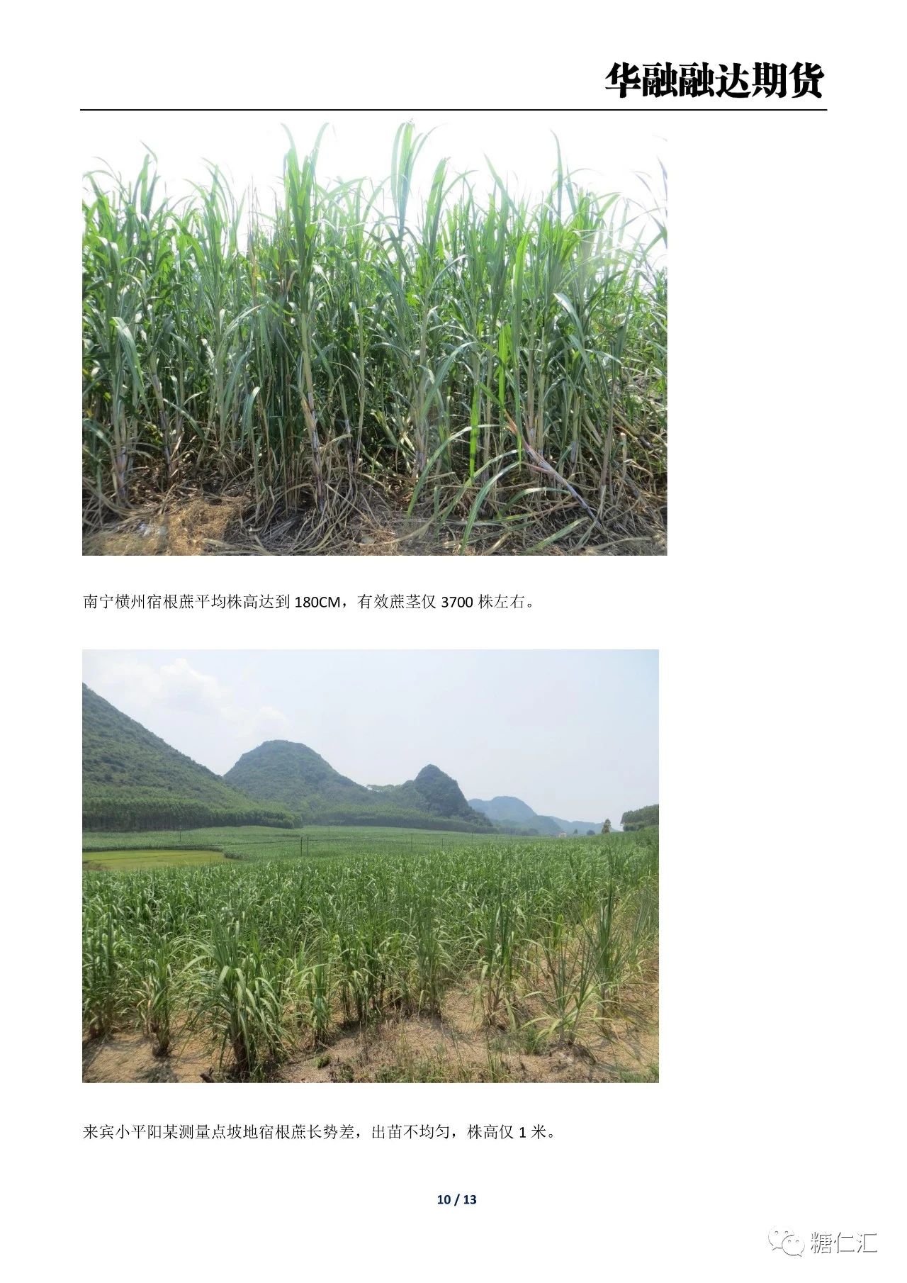 1691371263436081424.jpg 00fb36f05b50a0f089cb8f29f2926553.jpg