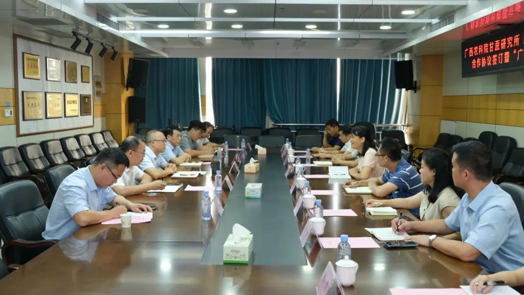 1691572293025046557.jpg 1.jpg