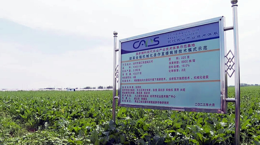 1692077685998078863.png image.png