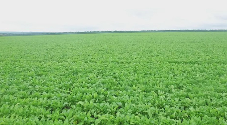 1692077701727081131.png image.png