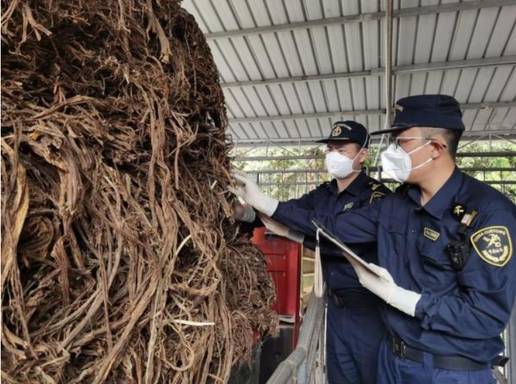 1692169560994065036.png image.png