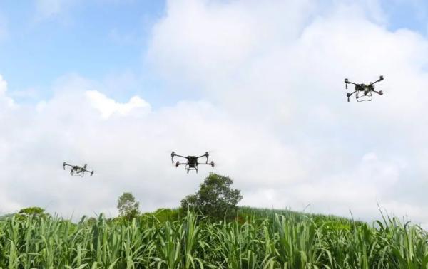 1692323583757050873.jpg 2.jpg