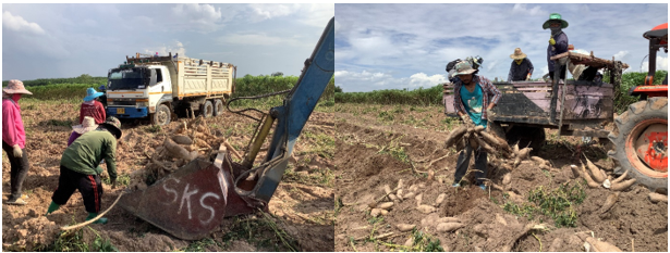 1692869726056024839.png debe591fe2ca5f39d41c733f5cffe881.png