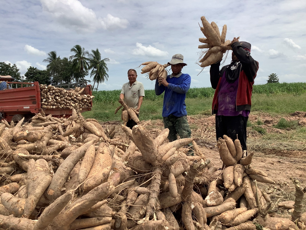 1692869740633079314.png f6104c2e0d5ba8695c60670dc7f67b4a.png